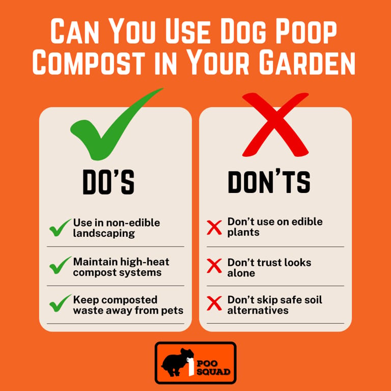 Can You Use Dog Poop Compost in Your Garden