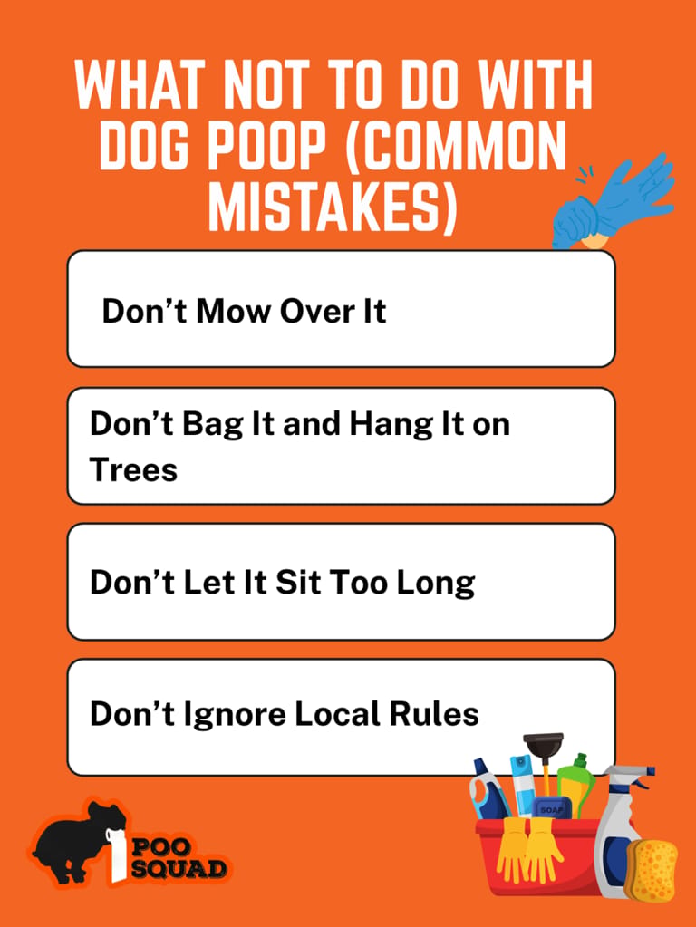 What Not to Do With Dog Poop (Common Mistakes)