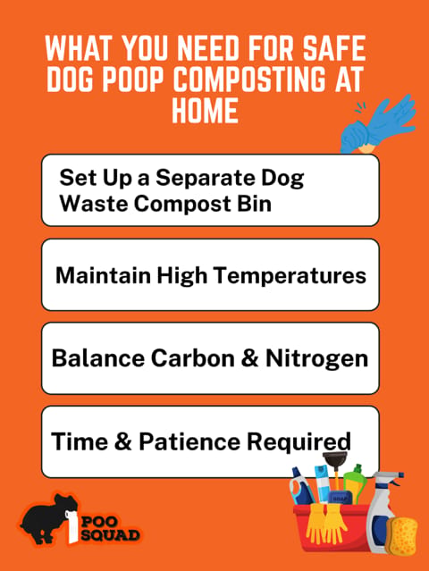 What You Need for Safe Dog Poop Composting at Home
