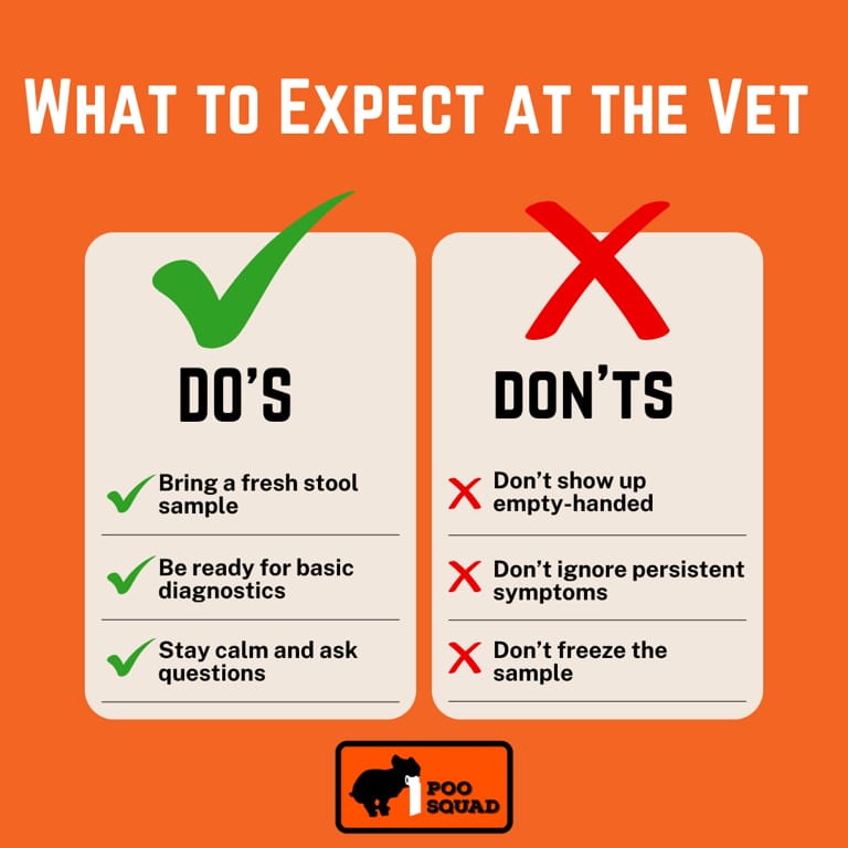 What to Expect at the Vet