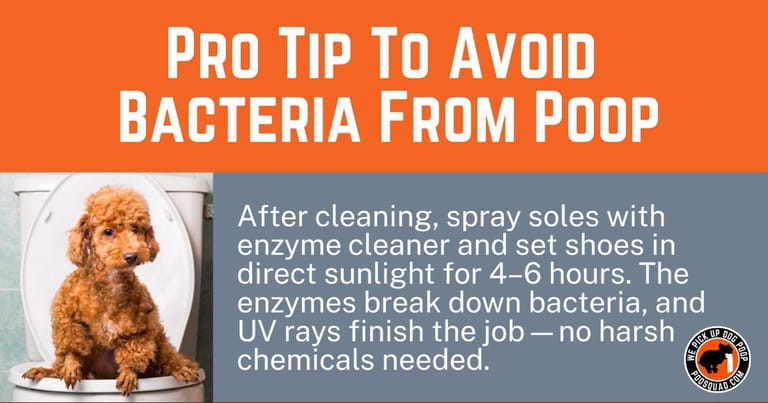 avoid bacteria from poop