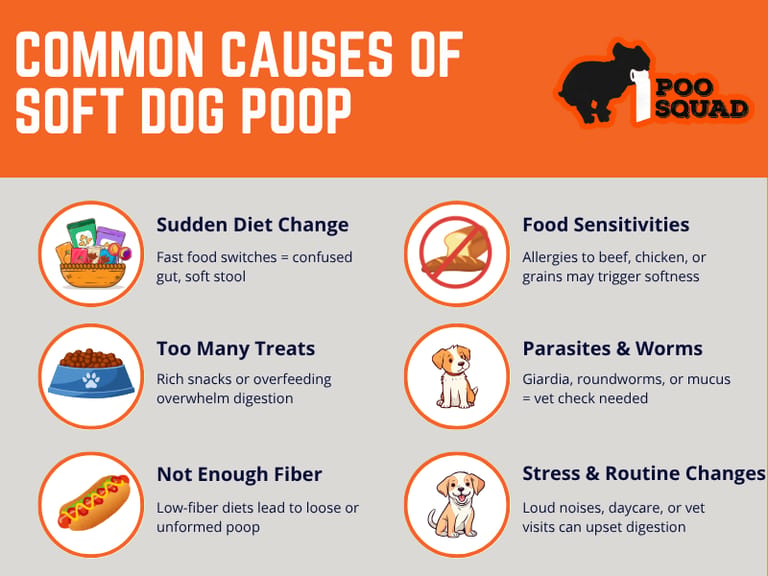 common causes soft dog poop