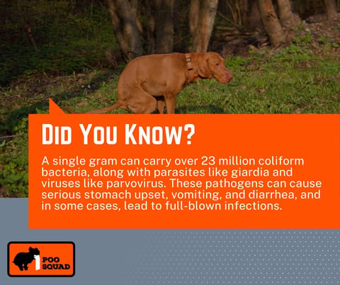 did you know