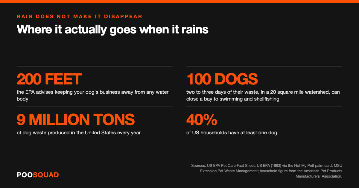 Infographic: the EPA advises keeping a dog's business at least 200 feet from any water body; two to three days of waste from 100 dogs in a 20 square mile watershed can close a bay to swimming and shellfishing; 9 million tons of dog waste is produced in the United States every year; and 40 percent of US households have at least one dog.