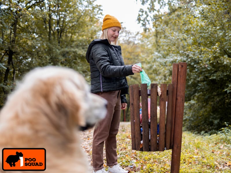 Dog Poop’s Environmental Impact: The Dirty Truth