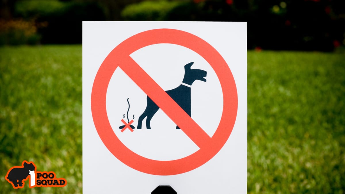 Dog Poop Laws by State: Fines & Rules