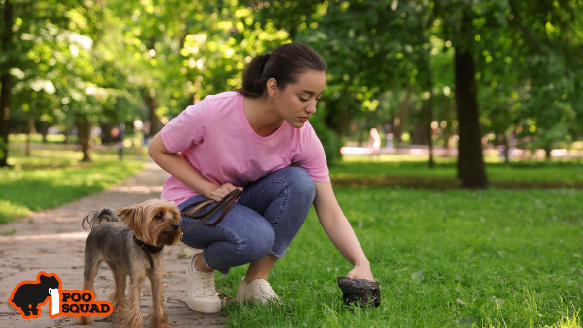 Is Dog Poop Yard Waste? What Most Homeowners Get Wrong