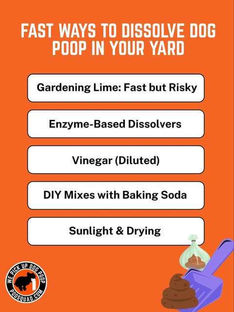 fast ways to dissolve dog poop in your yard fast ways to dissolve dog poop in your yard