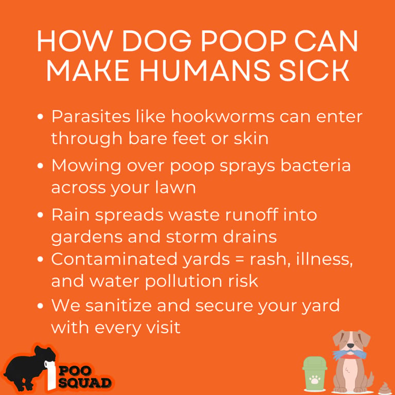 how dog poop can make humans sick