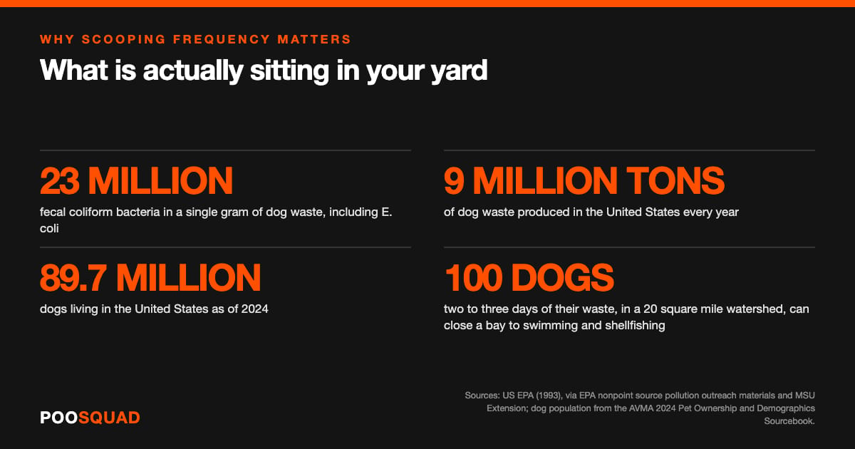 Infographic: a single gram of dog waste holds 23 million fecal coliform bacteria including E. coli; 9 million tons of dog waste is produced in the United States every year; 89.7 million dogs live in the United States as of 2024; and two to three days of waste from 100 dogs in a 20 square mile watershed can close a bay to swimming and shellfishing. Sources: US EPA and the AVMA.