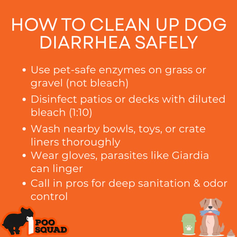 how to clean dog diarrhea