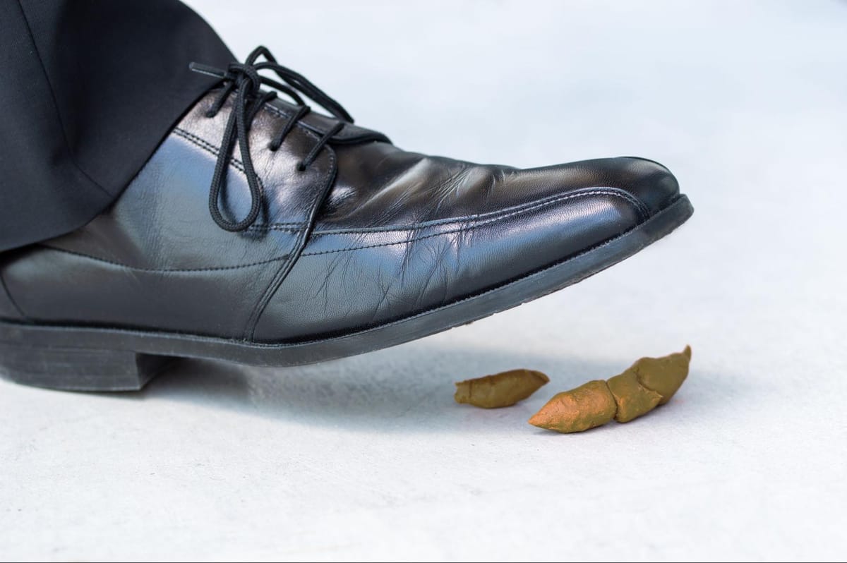 How to Clean Dog Poop Off Shoes (Step-by-Step Guide)