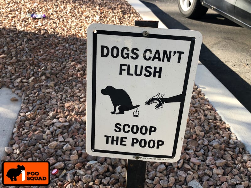Is It Illegal to Throw Dog Poop in the Garbage?