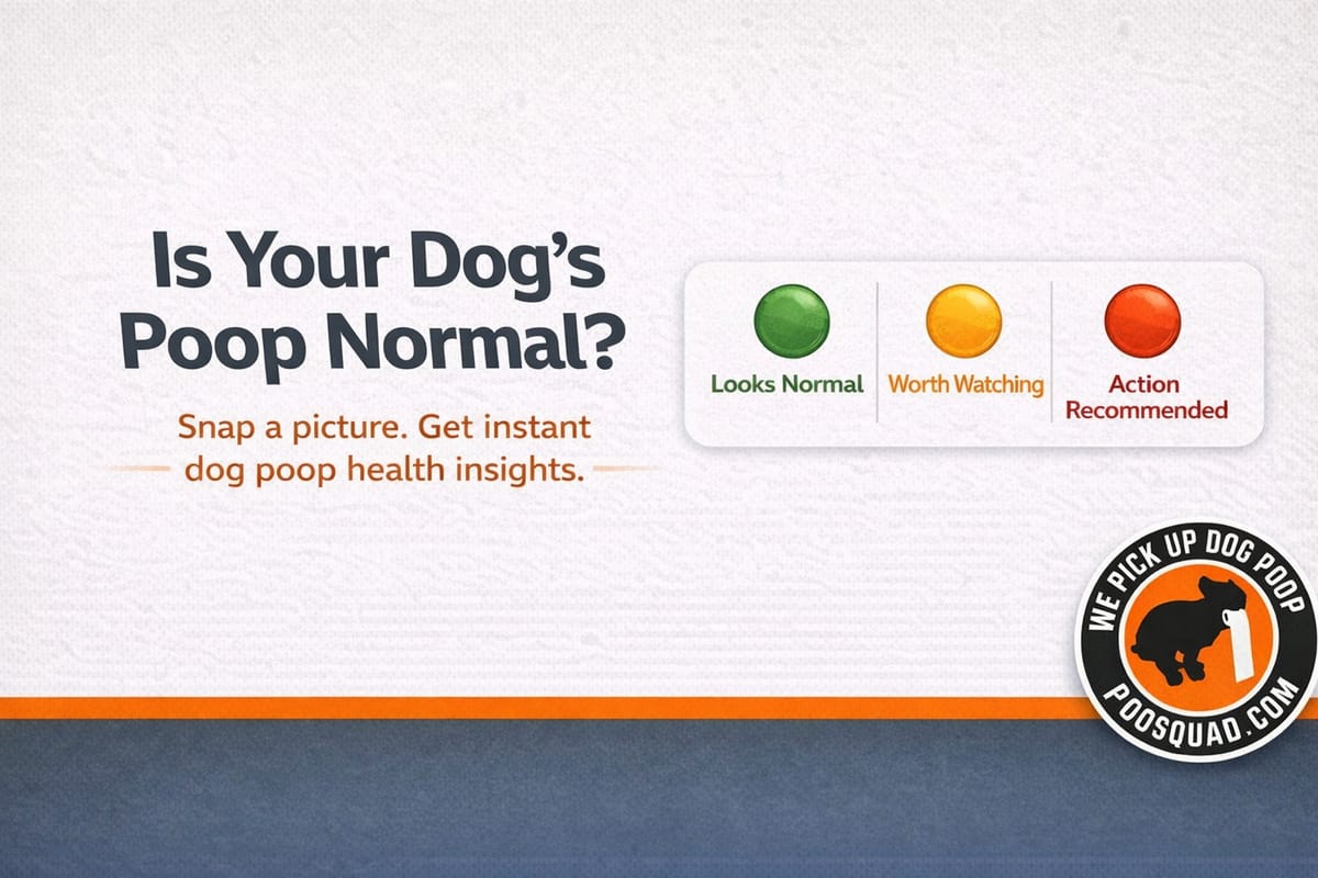 Is My Dog’s Poop Normal? Snap a Photo and Find Out