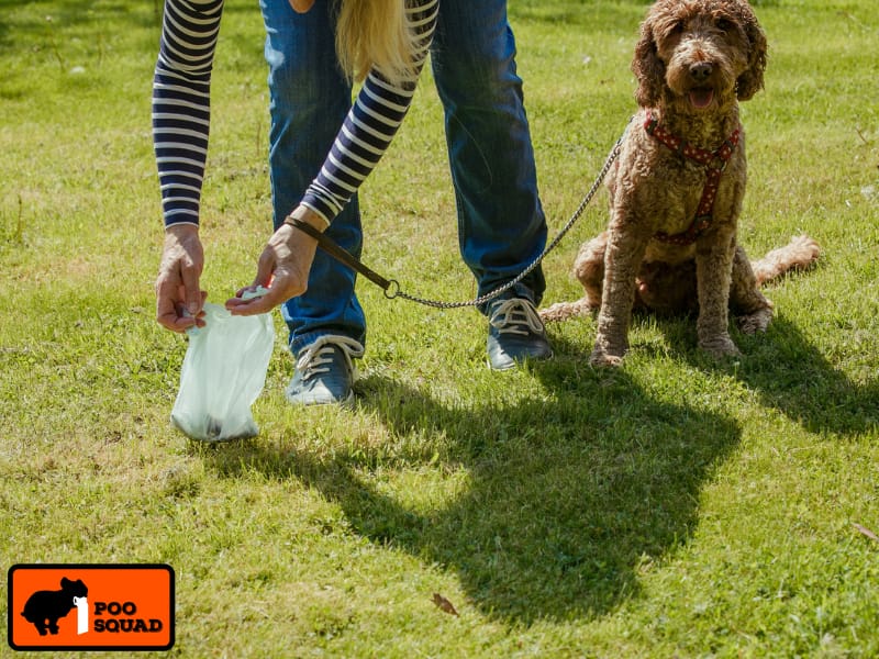 How to Handle Neighbors Who Don’t Pick Up Dog Poop