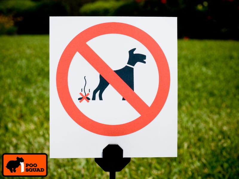 Can You Report a Neighbor for Not Picking Up Dog Poop?