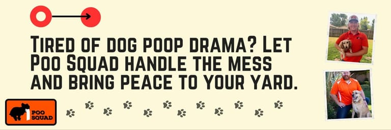 tired of dog poop