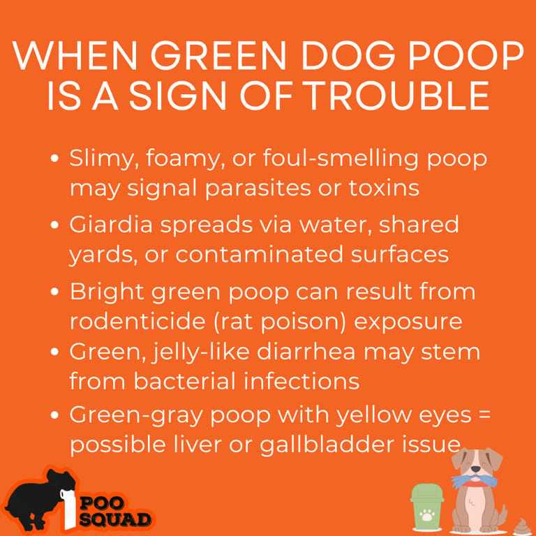 when green dog poop sign of trouble